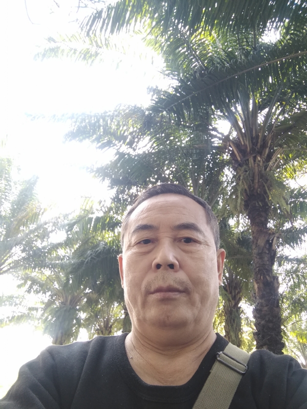 重振雄风的第二张照片--包头交友中心